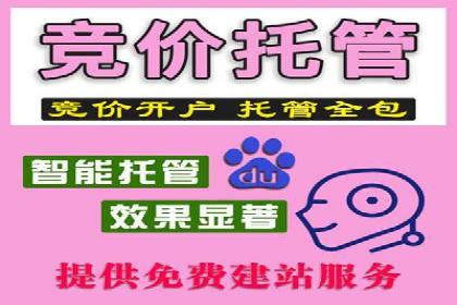 SEM广告投放策略的持续优化——某企业成功案例